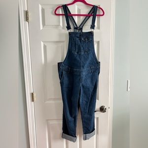 Indigo Blue Motherhood Maternity Overalls